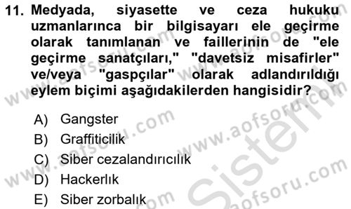 Suç Sosyolojisi Dersi 2024 - 2025 Yılı (Final) Dönem Sonu Sınav Soruları 11. Soru