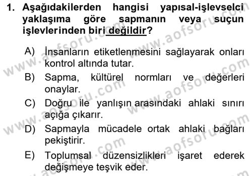 Suç Sosyolojisi Dersi 2024 - 2025 Yılı Yaz Okulu Sınav Soruları 1. Soru