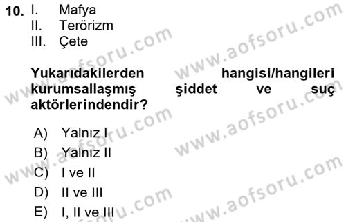 Suç Sosyolojisi Dersi 2024 - 2025 Yılı Yaz Okulu Sınav Soruları 10. Soru