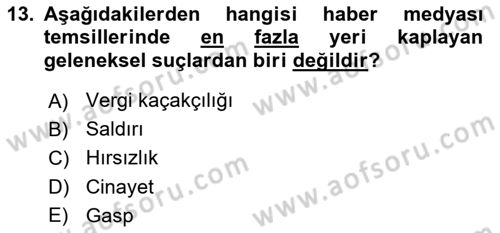 Suç Sosyolojisi Dersi 2024 - 2025 Yılı Yaz Okulu Sınav Soruları 13. Soru