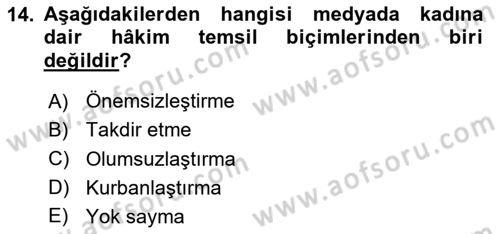 Suç Sosyolojisi Dersi 2024 - 2025 Yılı Yaz Okulu Sınav Soruları 14. Soru