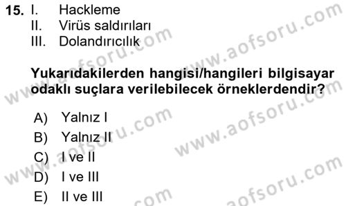 Suç Sosyolojisi Dersi 2024 - 2025 Yılı Yaz Okulu Sınav Soruları 15. Soru