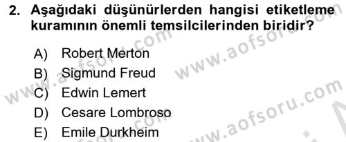 Suç Sosyolojisi Dersi 2024 - 2025 Yılı Yaz Okulu Sınav Soruları 2. Soru