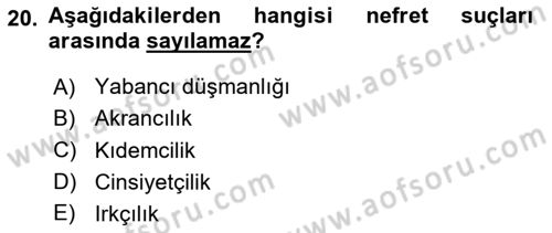 Suç Sosyolojisi Dersi 2024 - 2025 Yılı Yaz Okulu Sınav Soruları 20. Soru