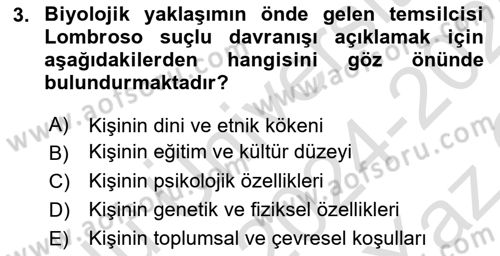Suç Sosyolojisi Dersi 2024 - 2025 Yılı Yaz Okulu Sınav Soruları 3. Soru