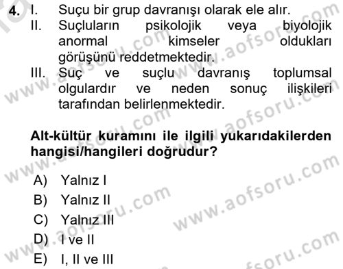 Suç Sosyolojisi Dersi 2024 - 2025 Yılı Yaz Okulu Sınav Soruları 4. Soru