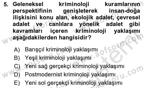 Suç Sosyolojisi Dersi 2024 - 2025 Yılı Yaz Okulu Sınav Soruları 5. Soru