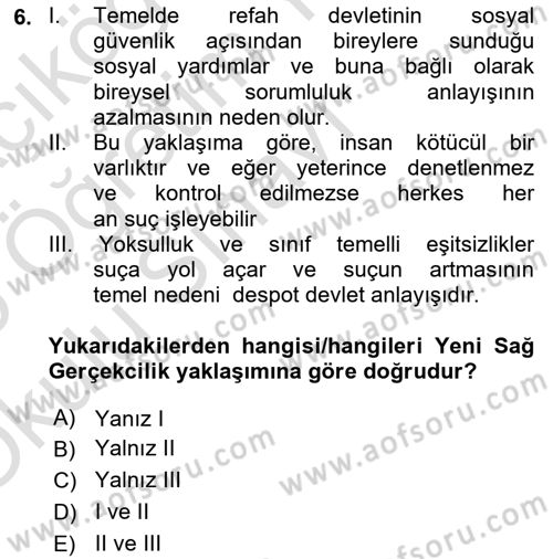Suç Sosyolojisi Dersi 2024 - 2025 Yılı Yaz Okulu Sınav Soruları 6. Soru
