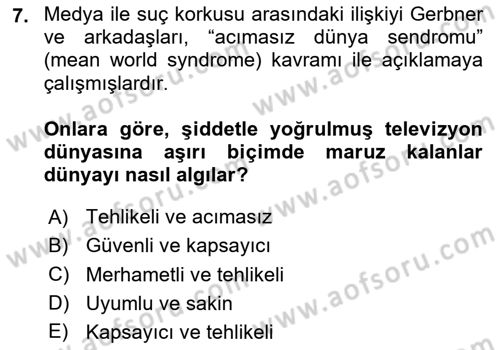 Suç Sosyolojisi Dersi 2024 - 2025 Yılı Yaz Okulu Sınav Soruları 7. Soru