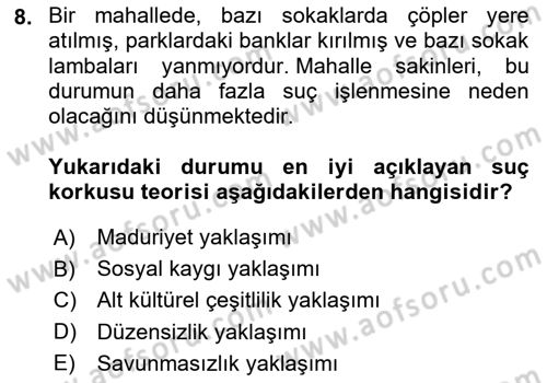 Suç Sosyolojisi Dersi 2024 - 2025 Yılı Yaz Okulu Sınav Soruları 8. Soru
