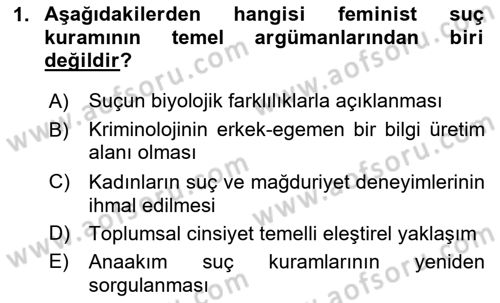 Suç Sosyolojisi Dersi 2025 - 2026 Yılı (Vize) Ara Sınav Soruları 1. Soru