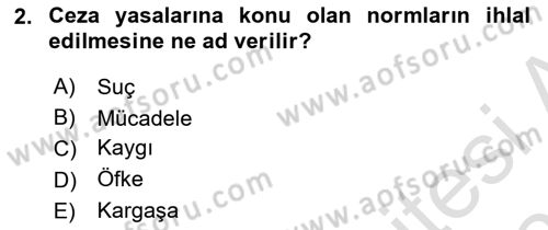 Suç Sosyolojisi Dersi 2025 - 2026 Yılı (Vize) Ara Sınav Soruları 2. Soru