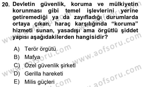 Suç Sosyolojisi Dersi 2025 - 2026 Yılı (Vize) Ara Sınav Soruları 20. Soru