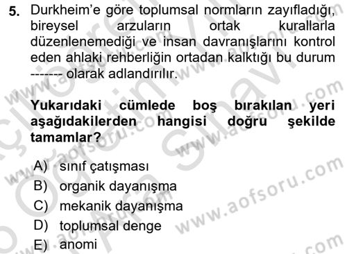 Suç Sosyolojisi Dersi 2025 - 2026 Yılı (Vize) Ara Sınav Soruları 5. Soru