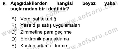 Suç Sosyolojisi Dersi 2025 - 2026 Yılı (Vize) Ara Sınav Soruları 6. Soru