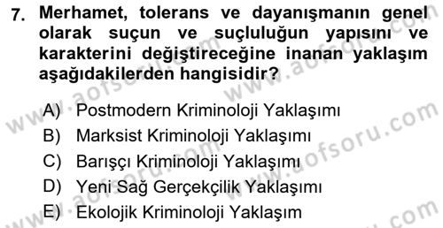 Suç Sosyolojisi Dersi 2025 - 2026 Yılı (Vize) Ara Sınav Soruları 7. Soru