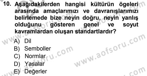 Türkiye´nin Toplumsal Yapısı Dersi 2012 - 2013 Yılı (Vize) Ara Sınav Soruları 10. Soru