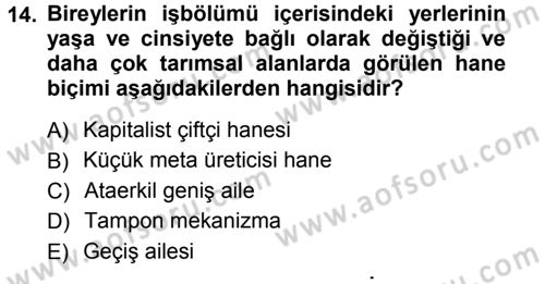 Türkiye´nin Toplumsal Yapısı Dersi Ara Sınavı Deneme Sınav Soruları 14. Soru