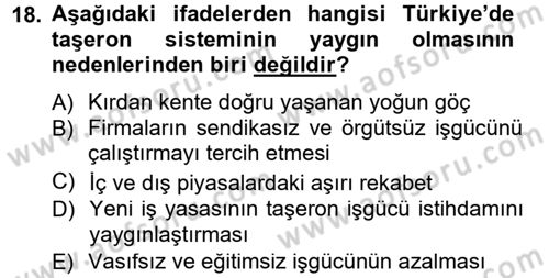Türkiye´nin Toplumsal Yapısı Dersi 2012 - 2013 Yılı (Final) Dönem Sonu Sınav Soruları 18. Soru
