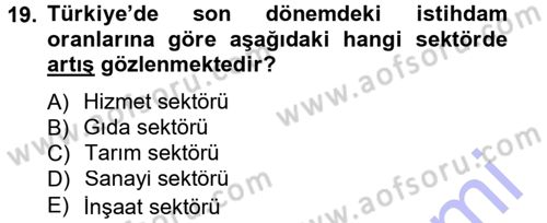 Türkiye´nin Toplumsal Yapısı Dersi 2012 - 2013 Yılı (Final) Dönem Sonu Sınav Soruları 19. Soru