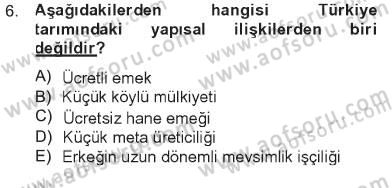 Türkiye´nin Toplumsal Yapısı Dersi 2012 - 2013 Yılı Tek Ders Sınav Soruları 6. Soru