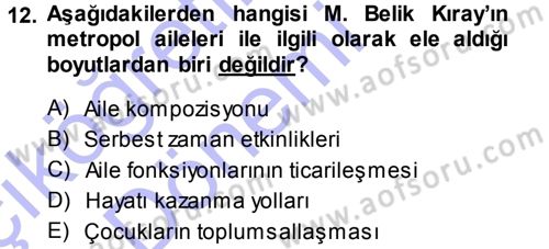 Türkiye´nin Toplumsal Yapısı Dersi Ara Sınavı Deneme Sınav Soruları 12. Soru