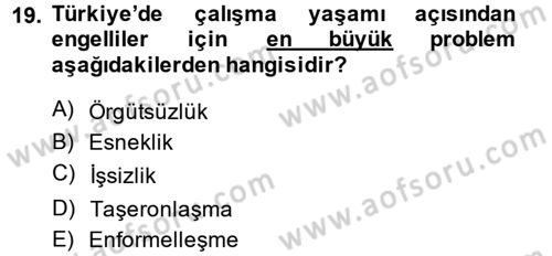 Türkiye´nin Toplumsal Yapısı Dersi 2013 - 2014 Yılı (Final) Dönem Sonu Sınav Soruları 19. Soru