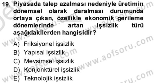 Türkiye´nin Toplumsal Yapısı Dersi 2013 - 2014 Yılı Tek Ders Sınav Soruları 19. Soru