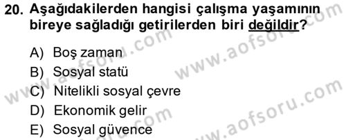 Türkiye´nin Toplumsal Yapısı Dersi 2013 - 2014 Yılı Tek Ders Sınav Soruları 20. Soru