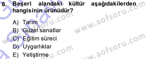 Türkiye´nin Toplumsal Yapısı Dersi 2014 - 2015 Yılı (Vize) Ara Sınav Soruları 6. Soru
