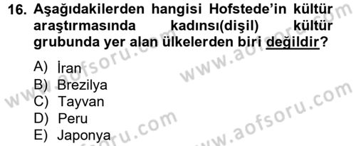 Türkiye´nin Toplumsal Yapısı Dersi 2014 - 2015 Yılı Tek Ders Sınav Soruları 16. Soru