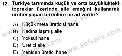 Türkiye´nin Toplumsal Yapısı Dersi Ara Sınavı Deneme Sınav Soruları 12. Soru