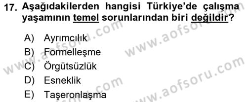 Türkiye´nin Toplumsal Yapısı Dersi 2015 - 2016 Yılı (Final) Dönem Sonu Sınav Soruları 17. Soru