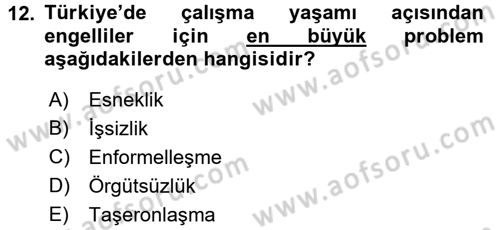 Türkiye´nin Toplumsal Yapısı Dersi 2015 - 2016 Yılı Tek Ders Sınav Soruları 12. Soru