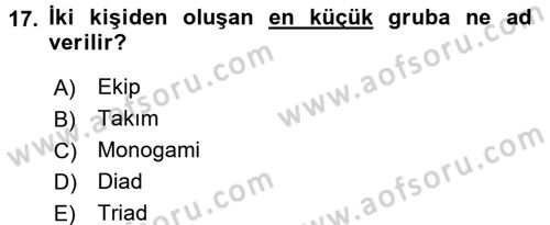Türkiye´nin Toplumsal Yapısı Dersi 2015 - 2016 Yılı Tek Ders Sınav Soruları 17. Soru