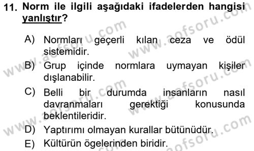 Türkiye´nin Toplumsal Yapısı Dersi 2016 - 2017 Yılı 3 Ders Sınav Soruları 11. Soru