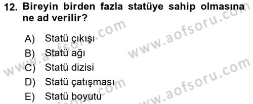 Türkiye´nin Toplumsal Yapısı Dersi 2016 - 2017 Yılı 3 Ders Sınav Soruları 12. Soru