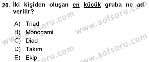 Türkiye´nin Toplumsal Yapısı Dersi 2016 - 2017 Yılı 3 Ders Sınav Soruları 20. Soru