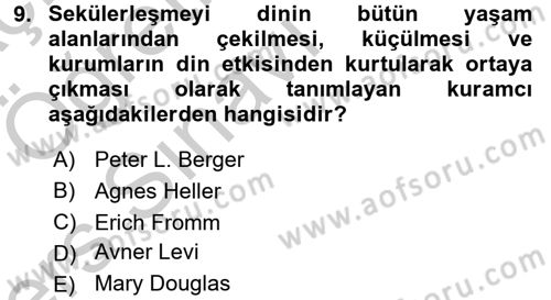 Türkiye´nin Toplumsal Yapısı Dersi 2016 - 2017 Yılı 3 Ders Sınav Soruları 9. Soru