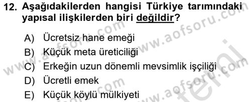 Türkiye´nin Toplumsal Yapısı Dersi Ara Sınavı Deneme Sınav Soruları 12. Soru