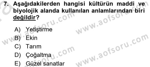 Türkiye´nin Toplumsal Yapısı Dersi 2016 - 2017 Yılı (Vize) Ara Sınav Soruları 7. Soru