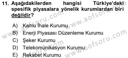 Türkiye´nin Toplumsal Yapısı Dersi 2016 - 2017 Yılı (Final) Dönem Sonu Sınav Soruları 11. Soru