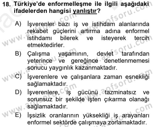 Türkiye´nin Toplumsal Yapısı Dersi 2016 - 2017 Yılı (Final) Dönem Sonu Sınav Soruları 18. Soru