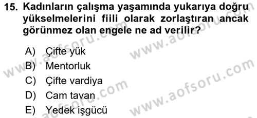 Türkiye´nin Toplumsal Yapısı Dersi 2017 - 2018 Yılı 3 Ders Sınav Soruları 15. Soru