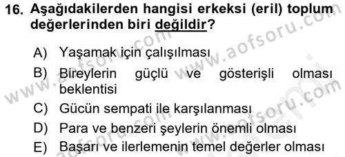Türkiye´nin Toplumsal Yapısı Dersi 2017 - 2018 Yılı 3 Ders Sınav Soruları 16. Soru