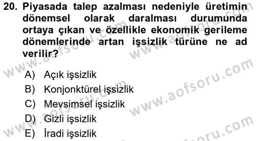 Türkiye´nin Toplumsal Yapısı Dersi 2017 - 2018 Yılı 3 Ders Sınav Soruları 20. Soru