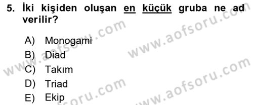 Türkiye´nin Toplumsal Yapısı Dersi 2017 - 2018 Yılı 3 Ders Sınav Soruları 5. Soru