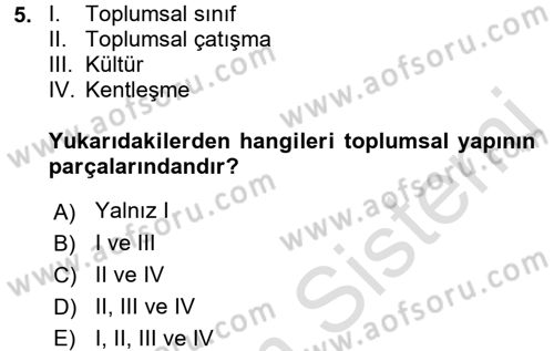 Türkiye´nin Toplumsal Yapısı Dersi 2017 - 2018 Yılı (Vize) Ara Sınav Soruları 5. Soru