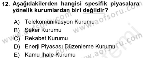 Türkiye´nin Toplumsal Yapısı Dersi 2017 - 2018 Yılı (Final) Dönem Sonu Sınav Soruları 12. Soru