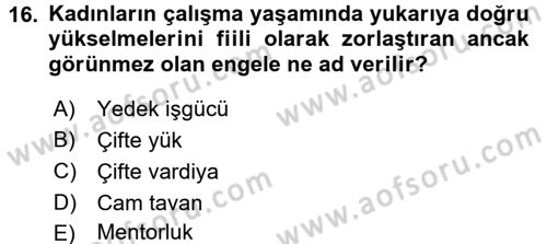 Türkiye´nin Toplumsal Yapısı Dersi 2017 - 2018 Yılı (Final) Dönem Sonu Sınav Soruları 16. Soru